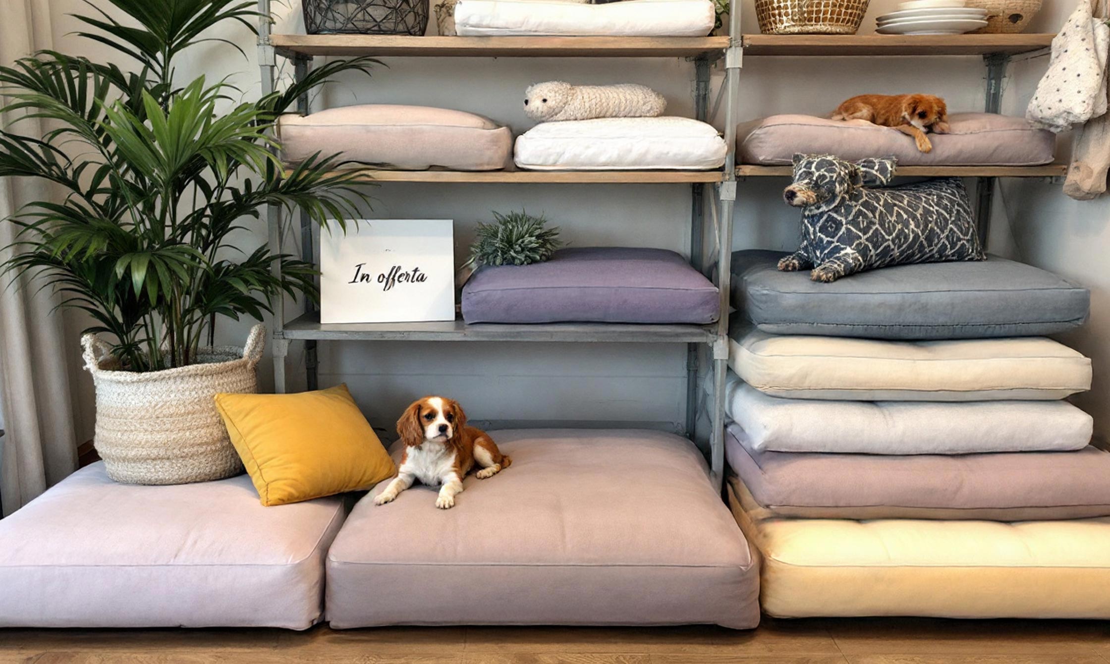 home_collezione_offerte_2