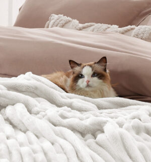COPERTE